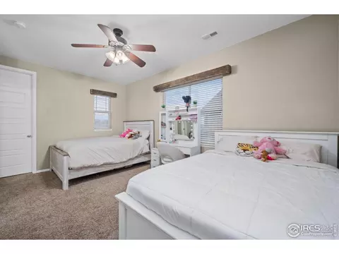 6119 Pryor Rd, Timnath, CO 80547 photo 28