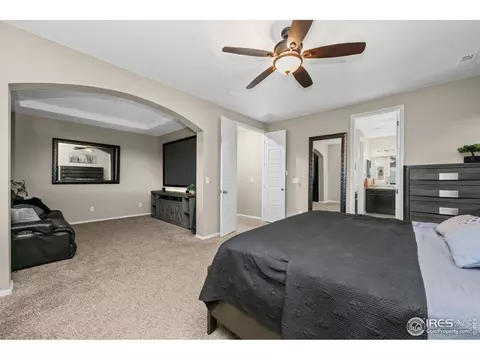 6119 Pryor Rd, Timnath, CO 80547 photo 41
