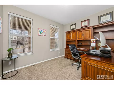 6119 Pryor Rd, Timnath, CO 80547 photo 37
