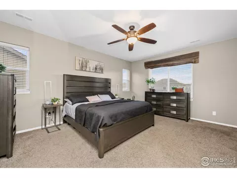 6119 Pryor Rd, Timnath, CO 80547 photo 40