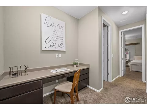 6119 Pryor Rd, Timnath, CO 80547 photo 31