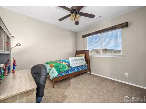 6119 Pryor Rd, Timnath, CO 80547 photo 30