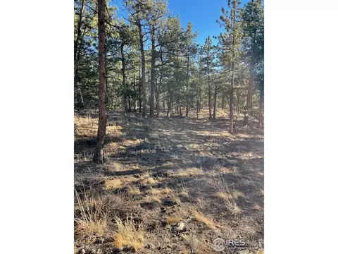 0 Pine Dr, Lyons, CO 80540 photo 4
