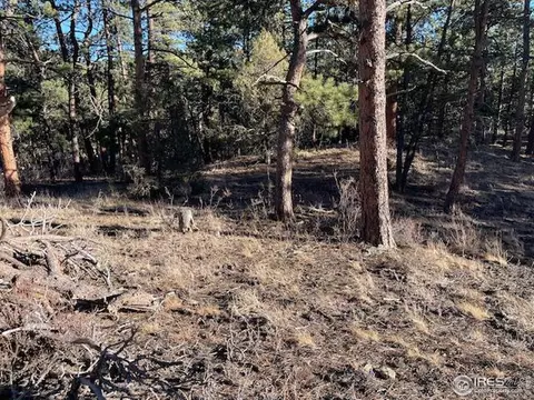 0 Pine Dr, Lyons, CO 80540 photo 8