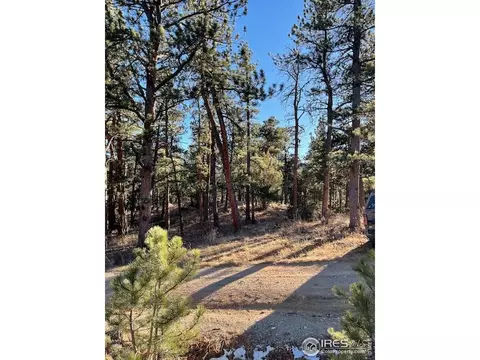 0 Pine Dr, Lyons, CO 80540 photo 7
