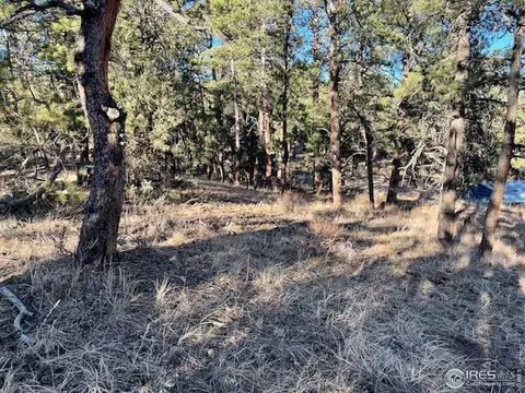 0 Pine Dr, Lyons, CO 80540 photo 6