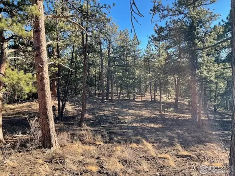 0 Pine Dr, Lyons, CO 80540 photo 3