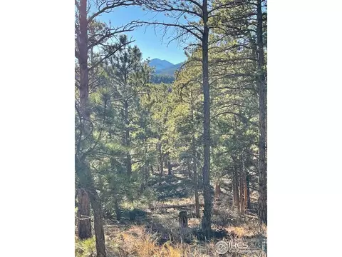 0 Pine Dr, Lyons, CO 80540 photo 2