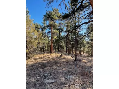 0 Pine Dr, Lyons, CO 80540 photo 5