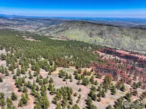 101 Lewis Ln, Lyons, CO 80540 photo 32