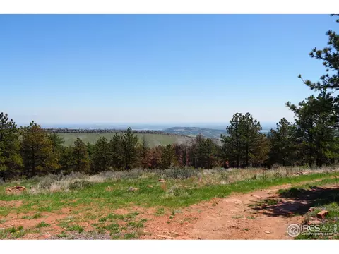 101 Lewis Ln, Lyons, CO 80540 photo 11