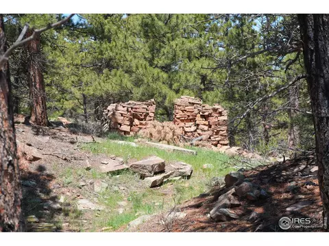 101 Lewis Ln, Lyons, CO 80540 photo 15