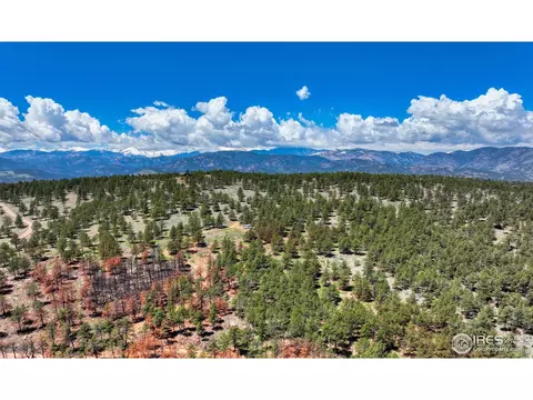 101 Lewis Ln, Lyons, CO 80540 photo 27