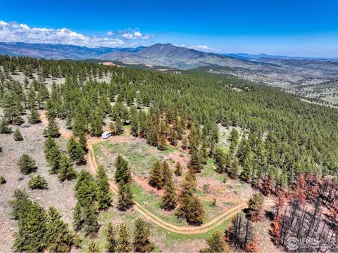 101 Lewis Ln, Lyons, CO 80540 photo 6