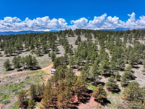 101 Lewis Ln, Lyons, CO 80540 photo 4