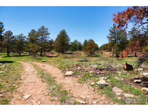 101 Lewis Ln, Lyons, CO 80540 photo 12