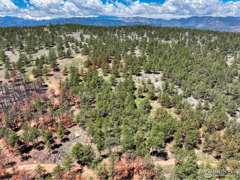 101 Lewis Ln, Lyons, CO 80540 photo 30