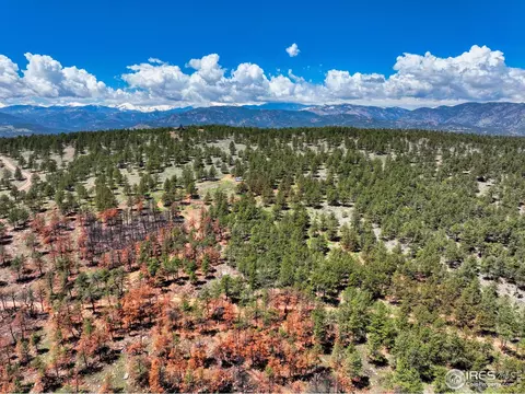 101 Lewis Ln, Lyons, CO 80540 photo 24