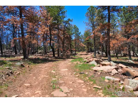 101 Lewis Ln, Lyons, CO 80540 photo 13