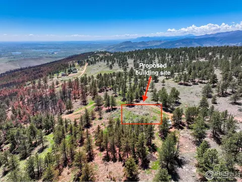 101 Lewis Ln, Lyons, CO 80540 photo 19