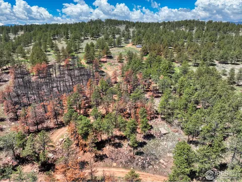 101 Lewis Ln, Lyons, CO 80540 photo 23