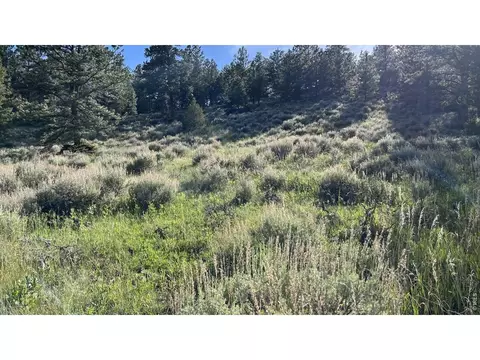 416 Comanche Cir, Red Feather Lakes, CO 80545