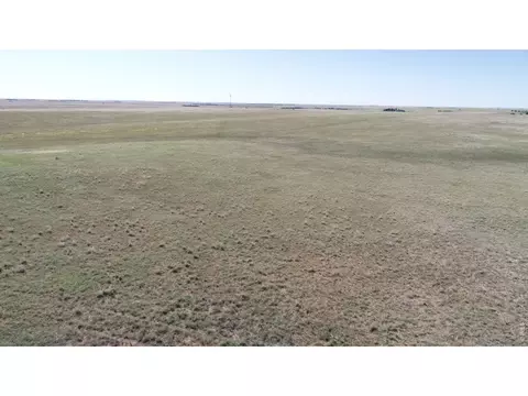 County Road Dd, Akron, CO 80720 photo 2