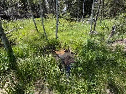 171 Spokane Ct, Red Feather Lakes, CO 80545