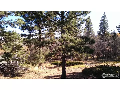171 Spokane Ct, Red Feather Lakes, CO 80545