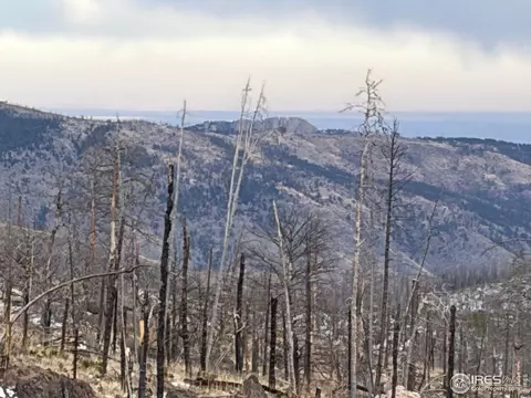 2025 Granite Rd, Bellvue, CO 80512