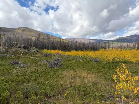 2025 Granite Rd, Bellvue, CO 80512