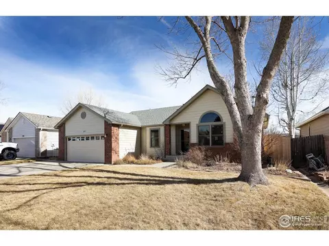Exterior - 302 Grant St, Frederick, CO 80530 photo 2 of 11