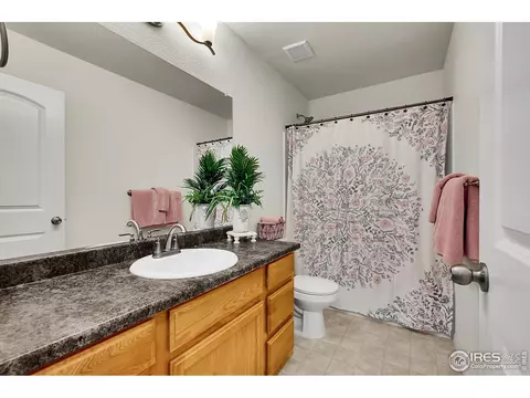 Bath - 831 Sambar Dr, Severance, CO 80550 photo 2 of 4