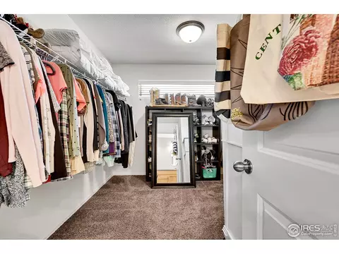 Other - 831 Sambar Dr, Severance, CO 80550 photo 6 of 11