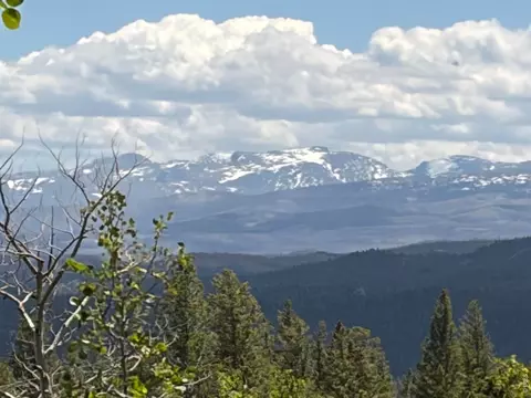 115 Wenro Ct, Red Feather Lakes, CO 80545