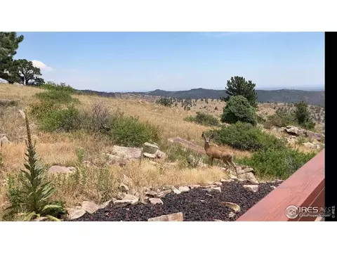Other - 15655 Mossrock Dr, Longmont, CO 80503 photo 5 of 13