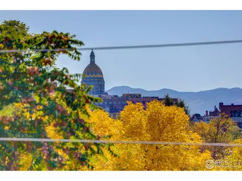 View/Area - 2139 N Downing St, Denver, CO 80205 photo 3 of 3