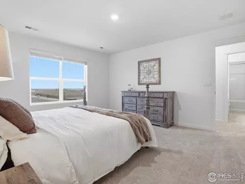 Bedroom - 821 Elias Tarn Dr, Severance, CO 80550 photo 6 of 8