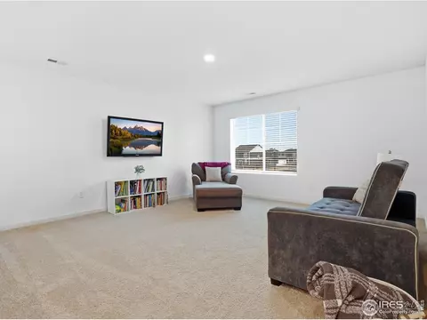 Other - 821 Elias Tarn Dr, Severance, CO 80550 photo 5 of 6