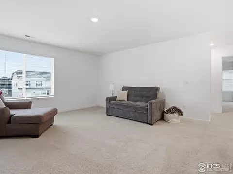 Other - 821 Elias Tarn Dr, Severance, CO 80550 photo 4 of 6