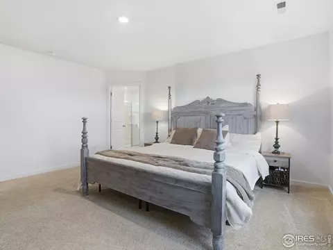 Bedroom - 821 Elias Tarn Dr, Severance, CO 80550 photo 7 of 8