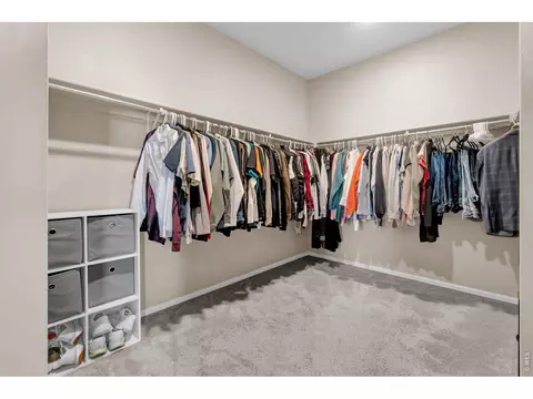 Other - 512 Buckrake St, Severance, CO 80550 photo 1 of 4