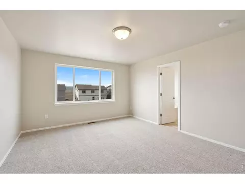 1787 Long Shadow Dr, Windsor, CO 80550 photo 26