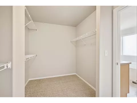 1787 Long Shadow Dr, Windsor, CO 80550 photo 40