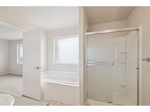 1787 Long Shadow Dr, Windsor, CO 80550 photo 35