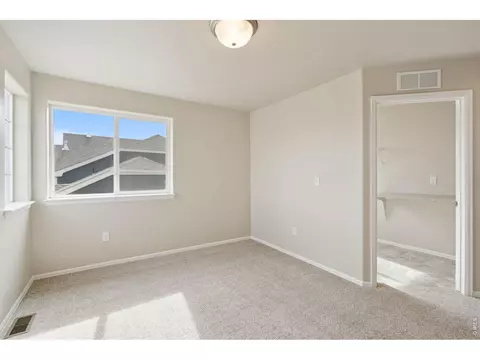 1787 Long Shadow Dr, Windsor, CO 80550 photo 23