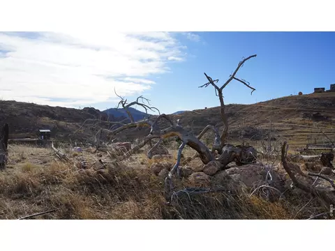 654 Horse Mountain Dr, Livermore, CO 80536