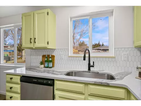 262 E 5th Ave, Longmont, CO 80504 photo 10