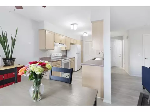 1910 W 102nd Ave, Thornton, CO 80260