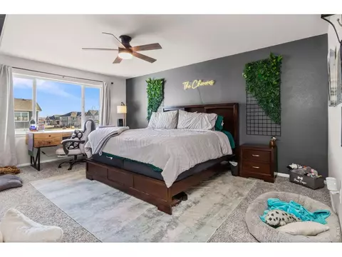901 Ashbrook Dr, Windsor, CO 80550 photo 26